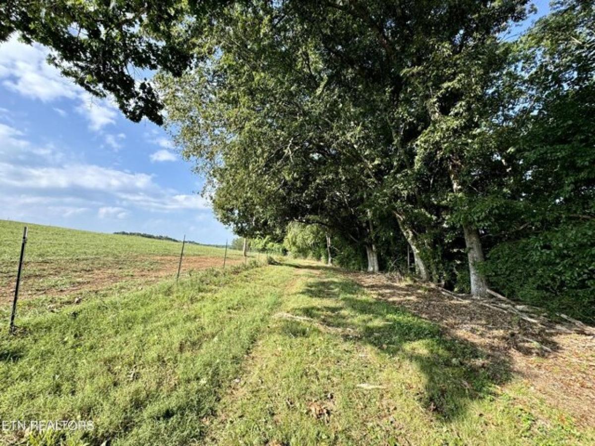 Picture of Residential Land For Sale in Lenoir City, Tennessee, United States