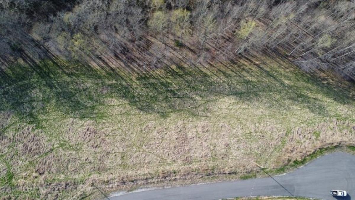 Picture of Residential Land For Sale in Lafayette, Tennessee, United States