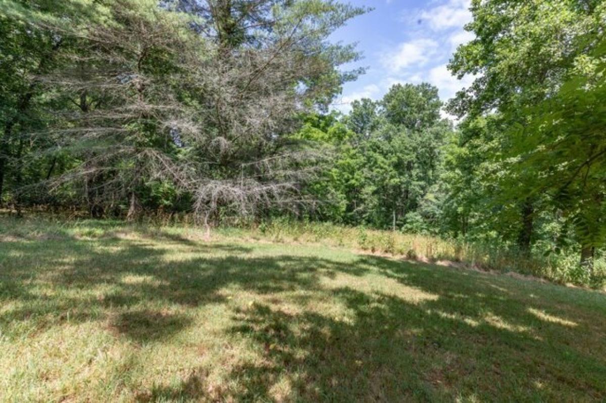 Picture of Residential Land For Sale in Blairsville, Georgia, United States