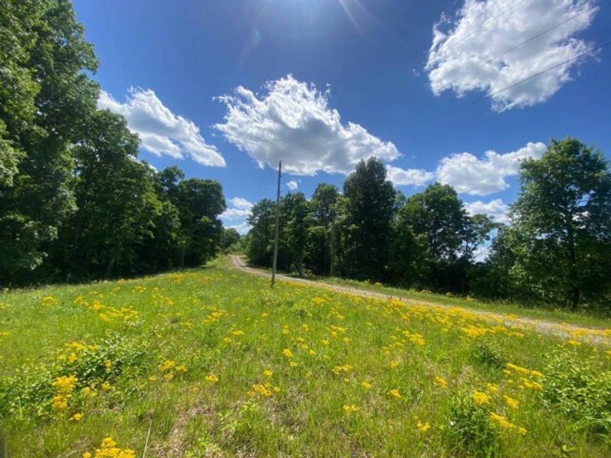 Picture of Residential Land For Sale in Burkesville, Kentucky, United States