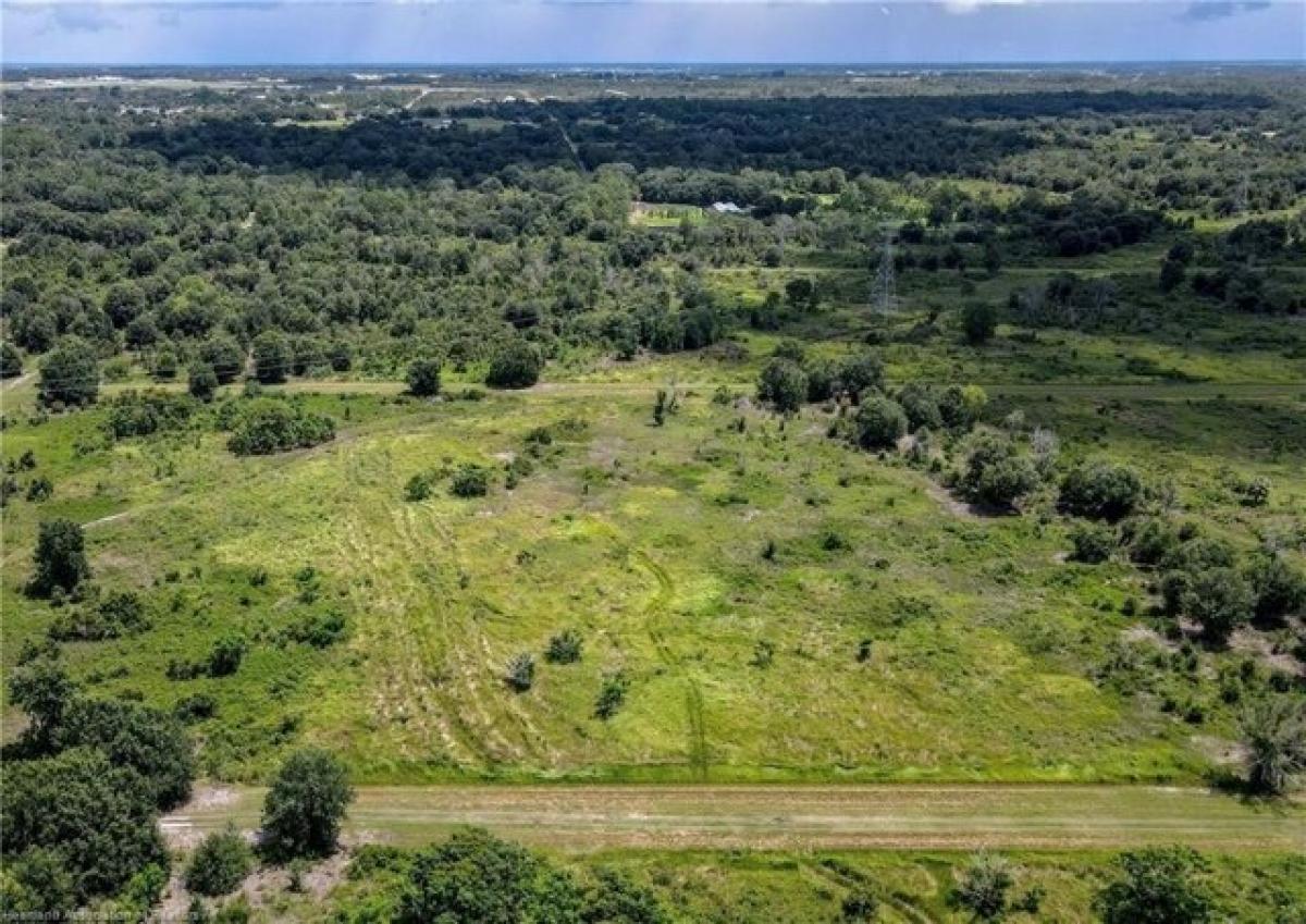 Picture of Residential Land For Sale in Avon Park, Florida, United States