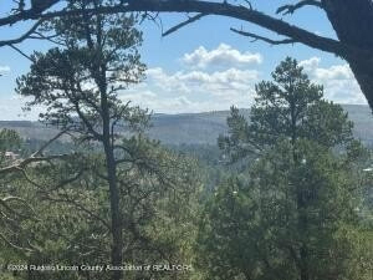 Picture of Residential Land For Sale in Ruidoso, New Mexico, United States