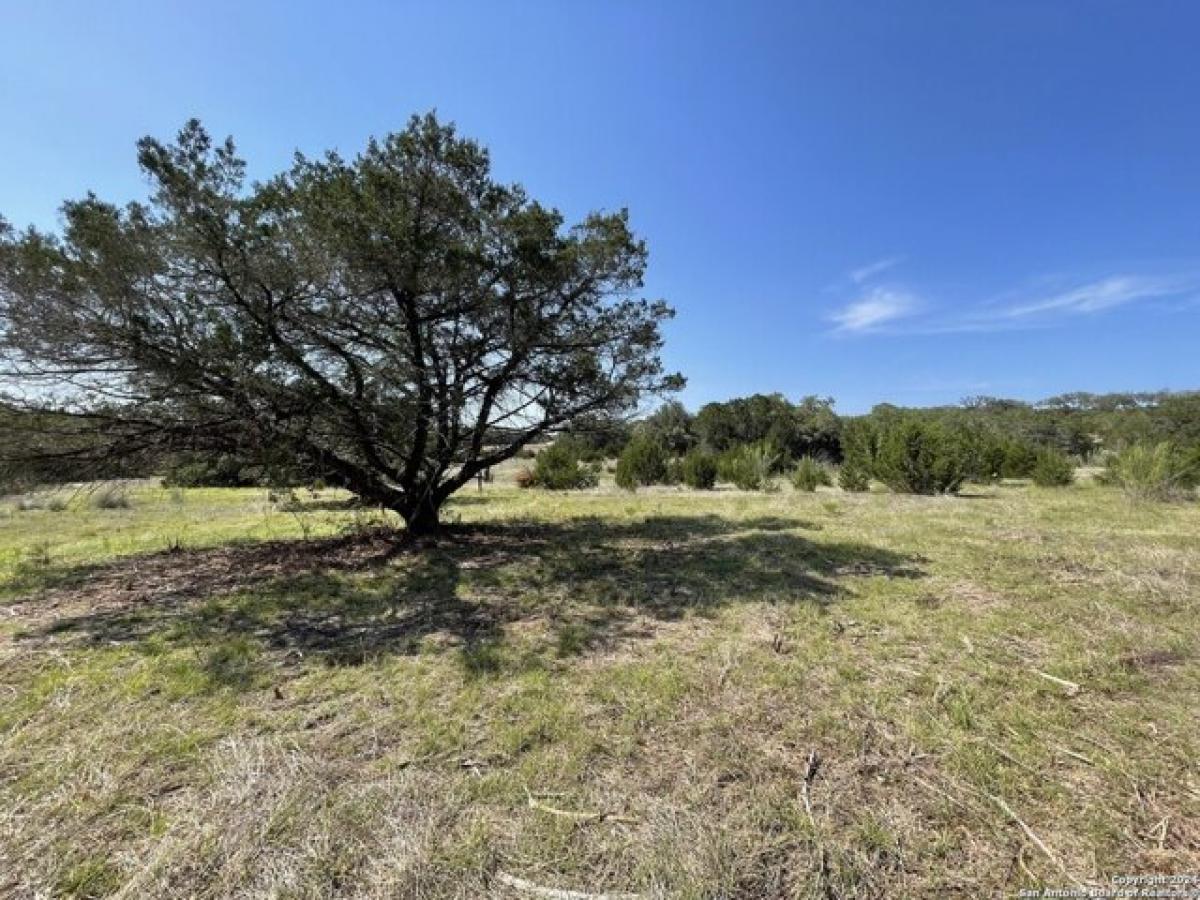 Picture of Residential Land For Sale in Bulverde, Texas, United States