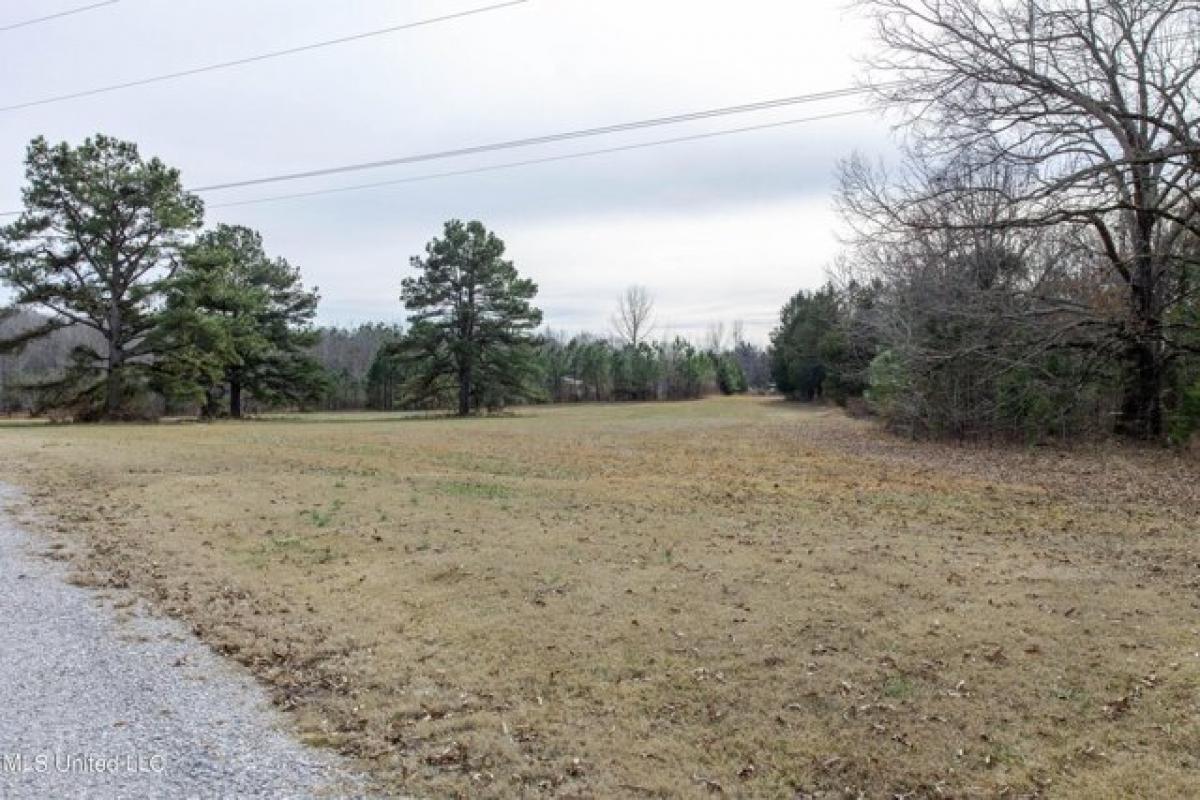 Picture of Residential Land For Sale in Holly Springs, Mississippi, United States