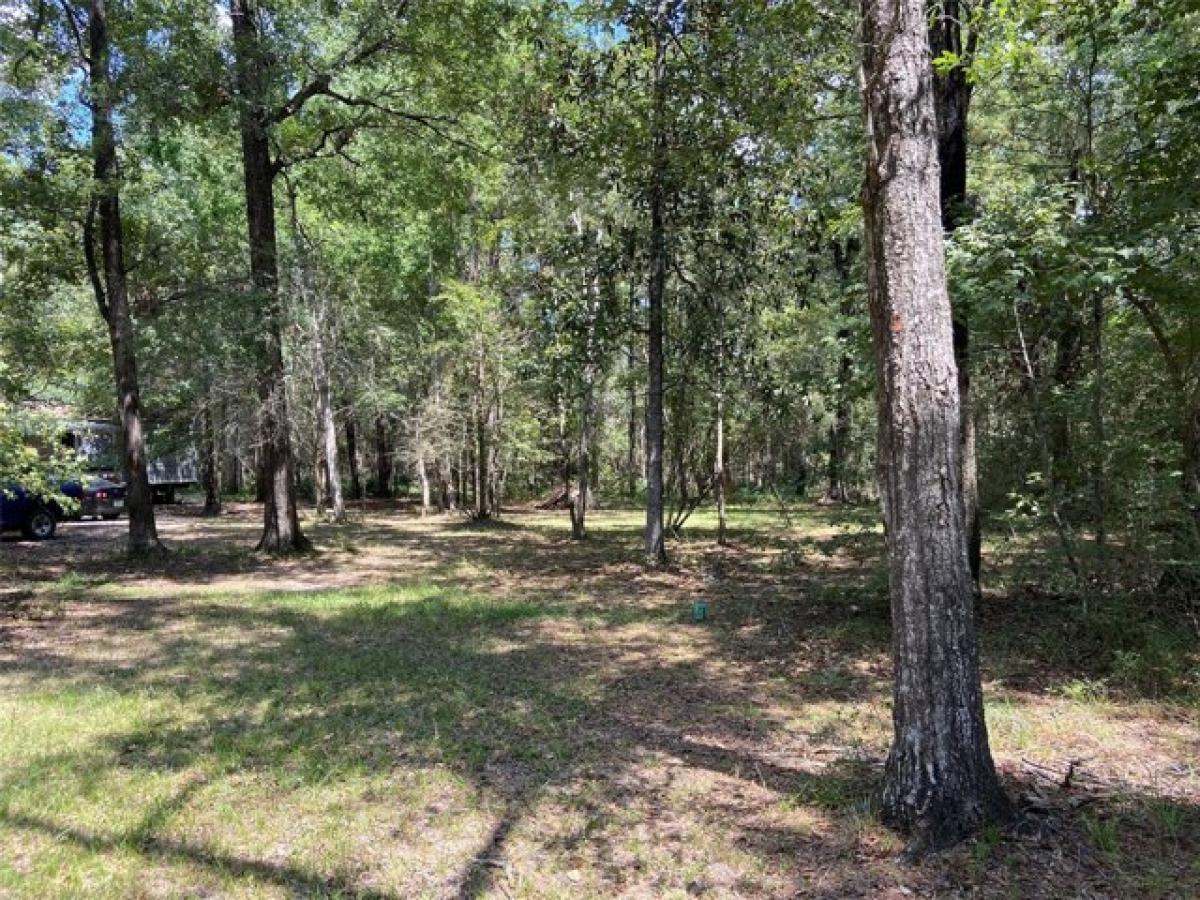 Picture of Residential Land For Sale in Conroe, Texas, United States