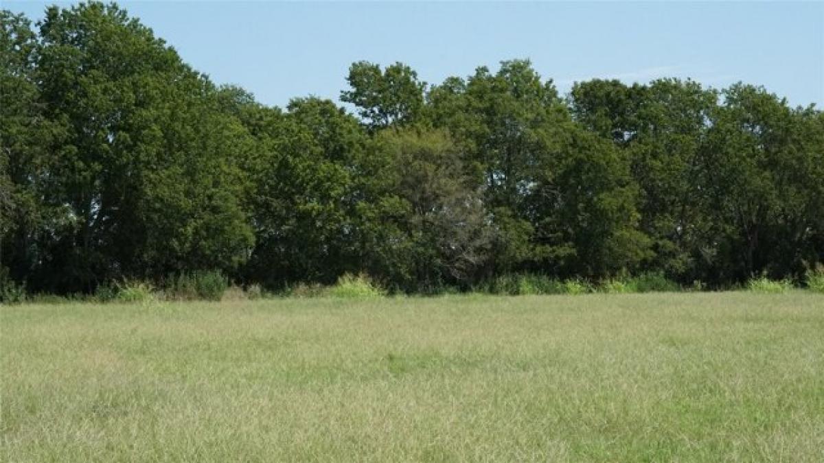 Picture of Residential Land For Sale in Caldwell, Texas, United States