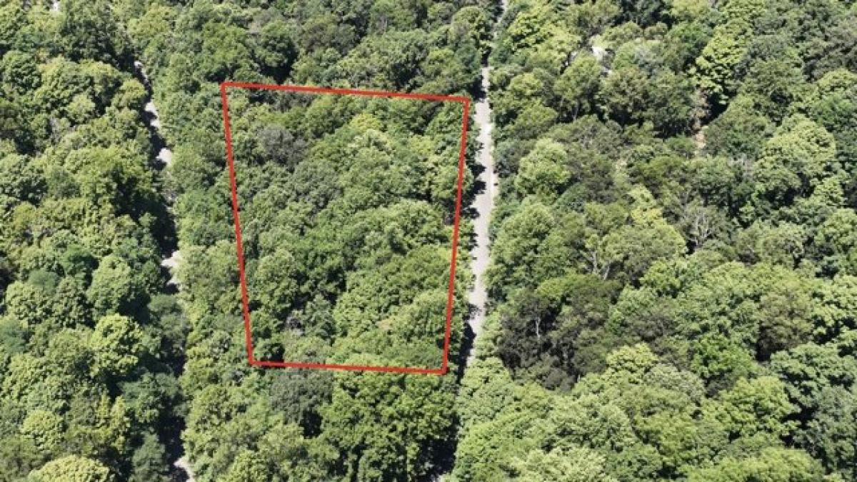 Picture of Residential Land For Sale in Smithville, Tennessee, United States