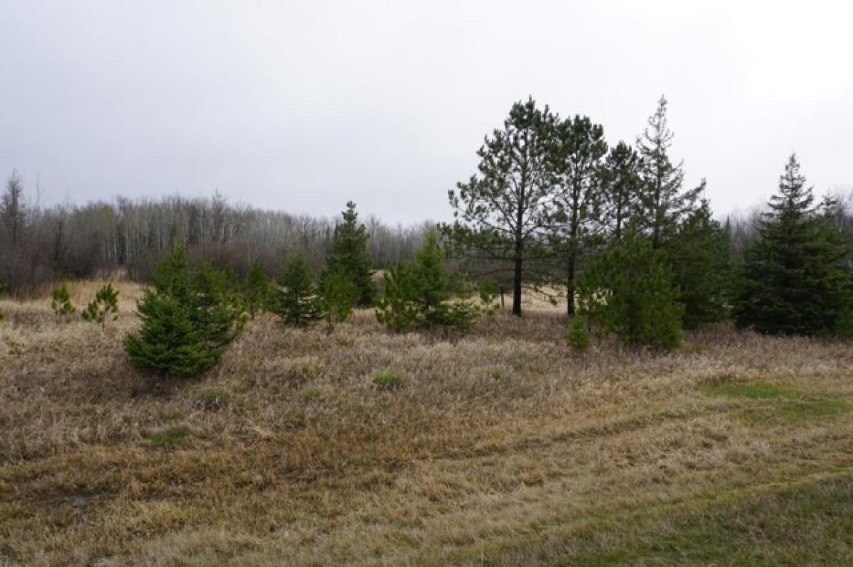 Picture of Residential Land For Sale in Deer River, Minnesota, United States