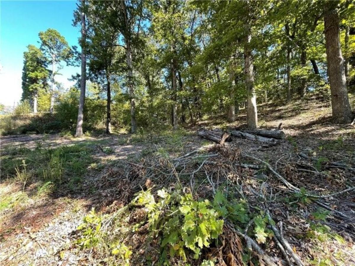 Picture of Residential Land For Sale in Rogers, Arkansas, United States