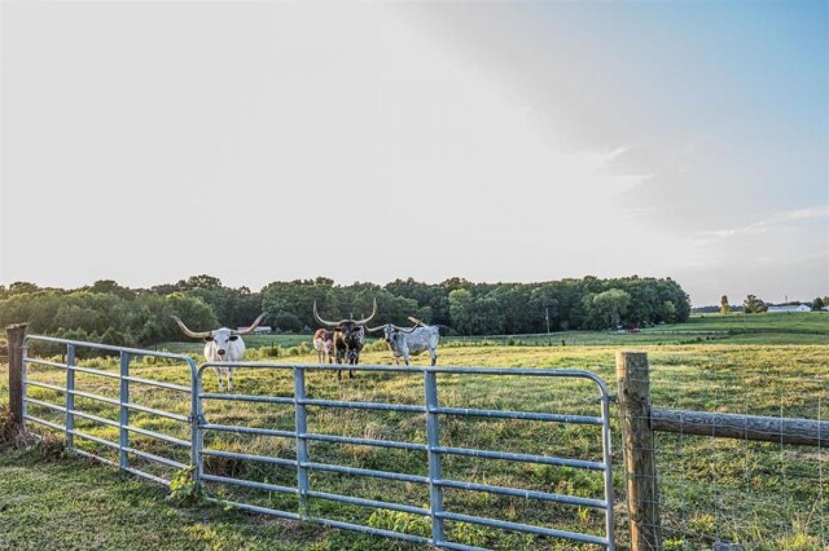 Picture of Residential Land For Sale in Woodburn, Kentucky, United States