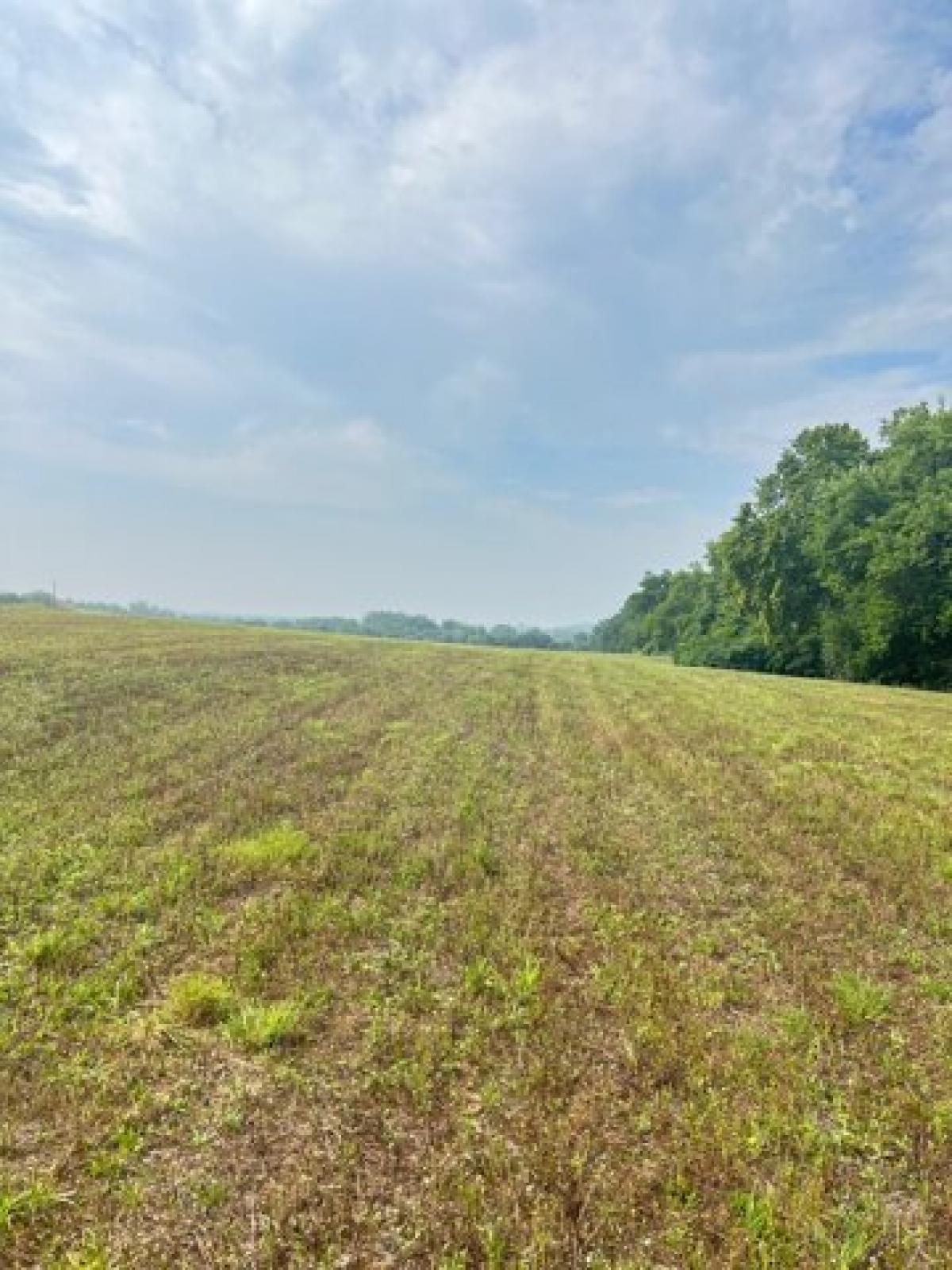 Picture of Residential Land For Sale in Castalian Springs, Tennessee, United States