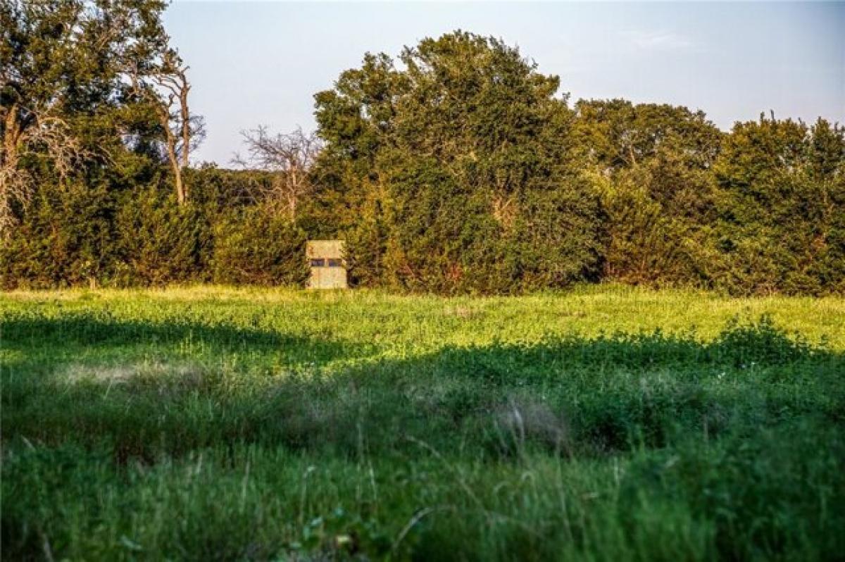 Picture of Residential Land For Sale in Walnut Springs, Texas, United States