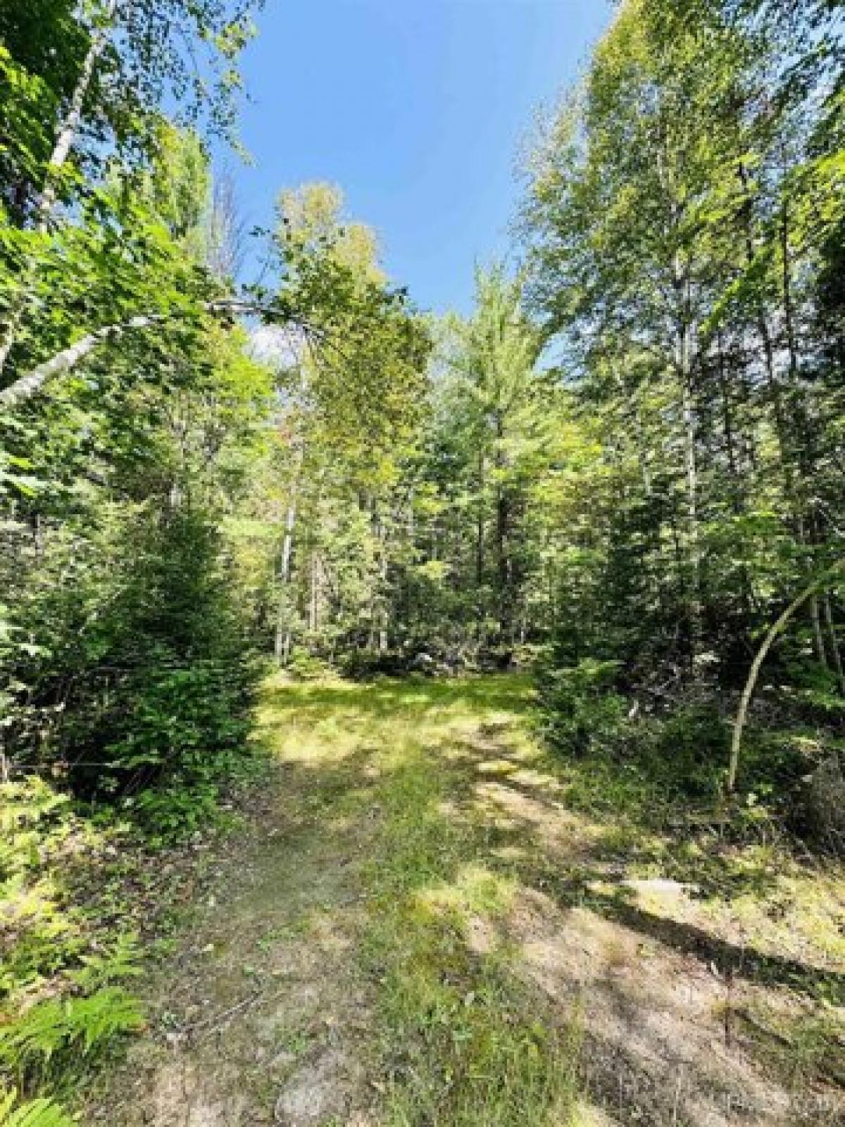 Picture of Residential Land For Sale in Negaunee, Michigan, United States