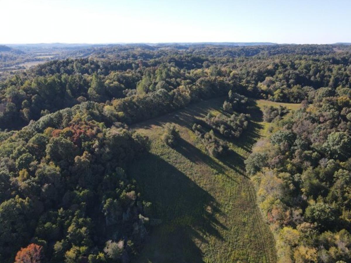 Picture of Residential Land For Sale in Beechgrove, Tennessee, United States