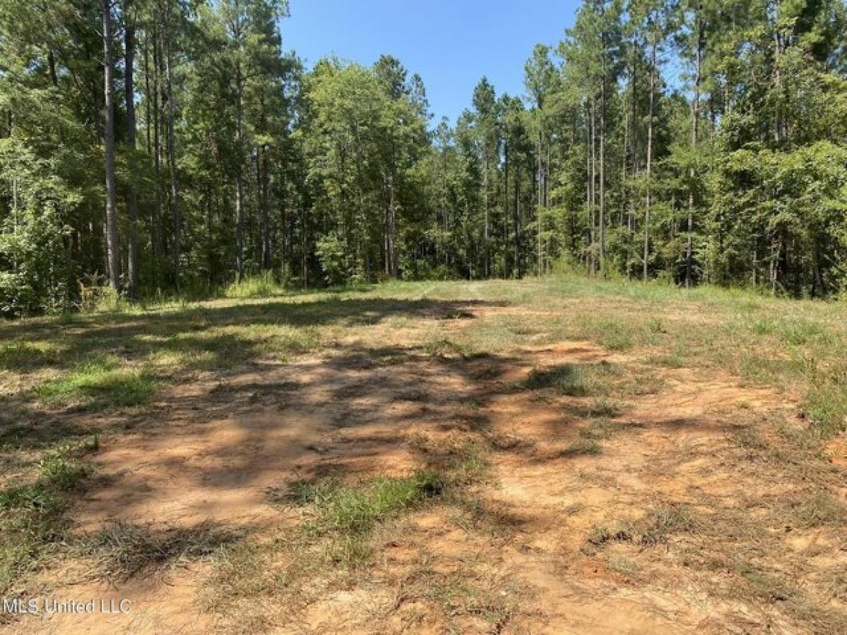 Picture of Residential Land For Sale in Pelahatchie, Mississippi, United States