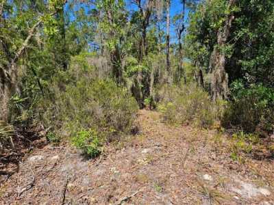 Residential Land For Sale in Interlachen, Florida