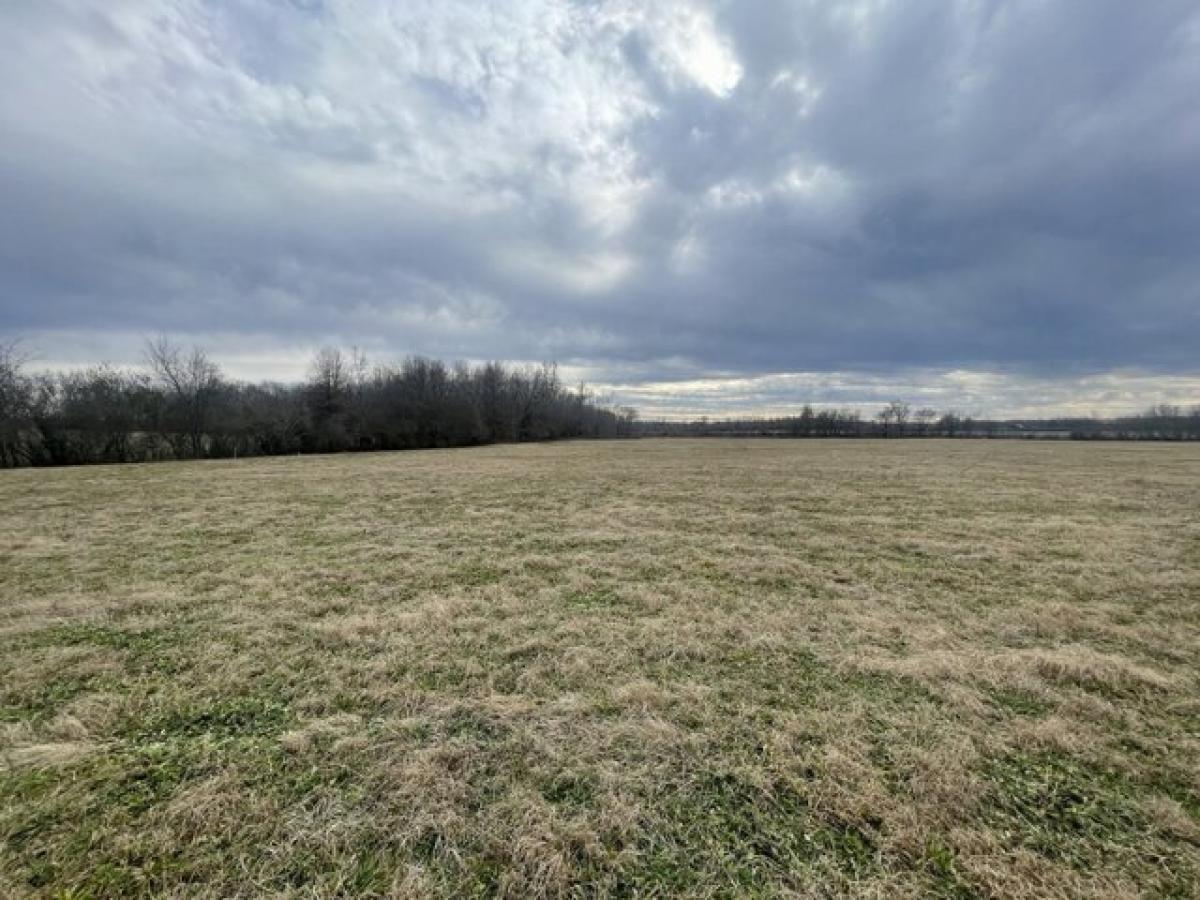 Picture of Residential Land For Sale in Bradyville, Tennessee, United States