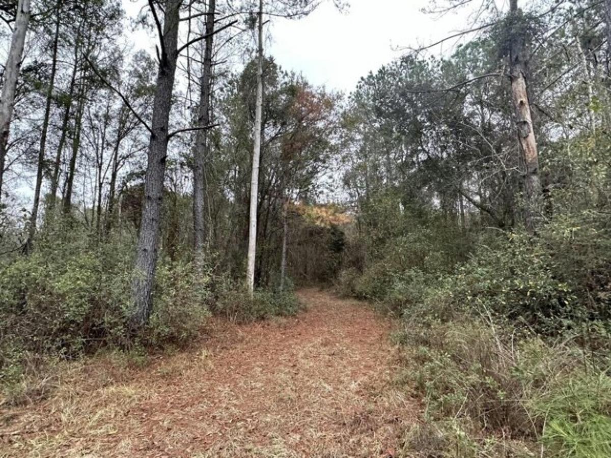 Picture of Residential Land For Sale in Bonifay, Florida, United States