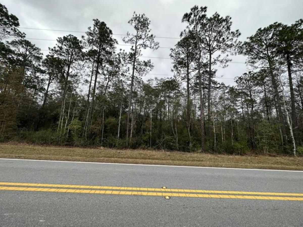 Picture of Residential Land For Sale in Bonifay, Florida, United States