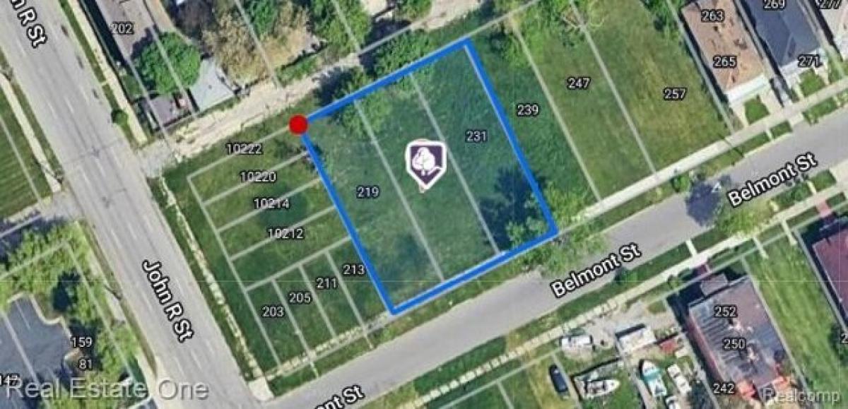 Picture of Residential Land For Sale in Detroit, Michigan, United States