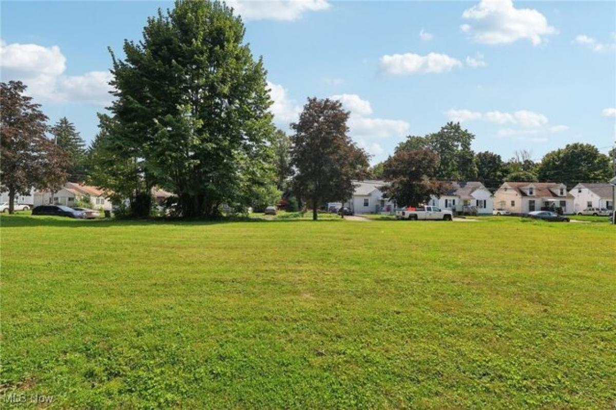 Picture of Residential Land For Sale in Akron, Ohio, United States