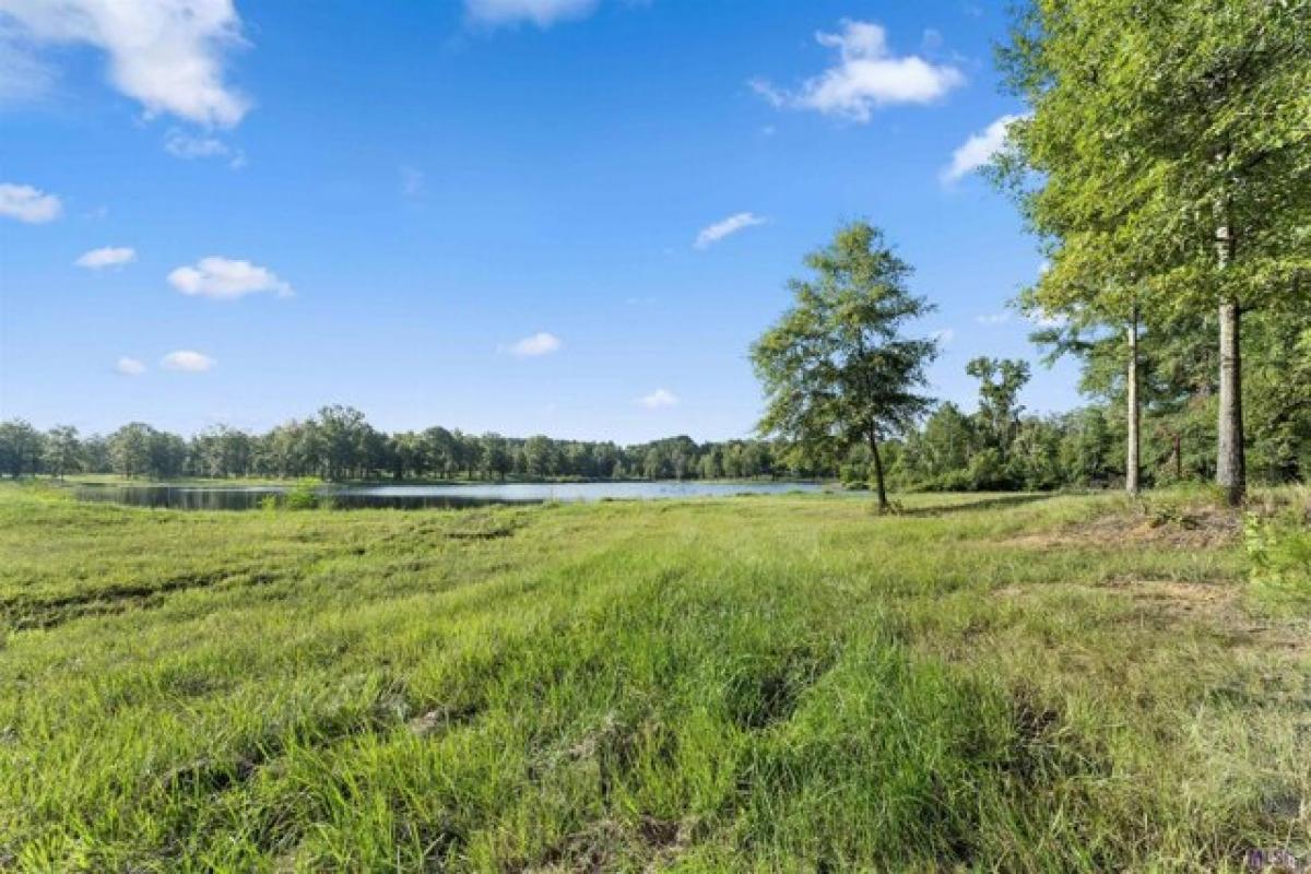 Picture of Residential Land For Sale in Clinton, Louisiana, United States