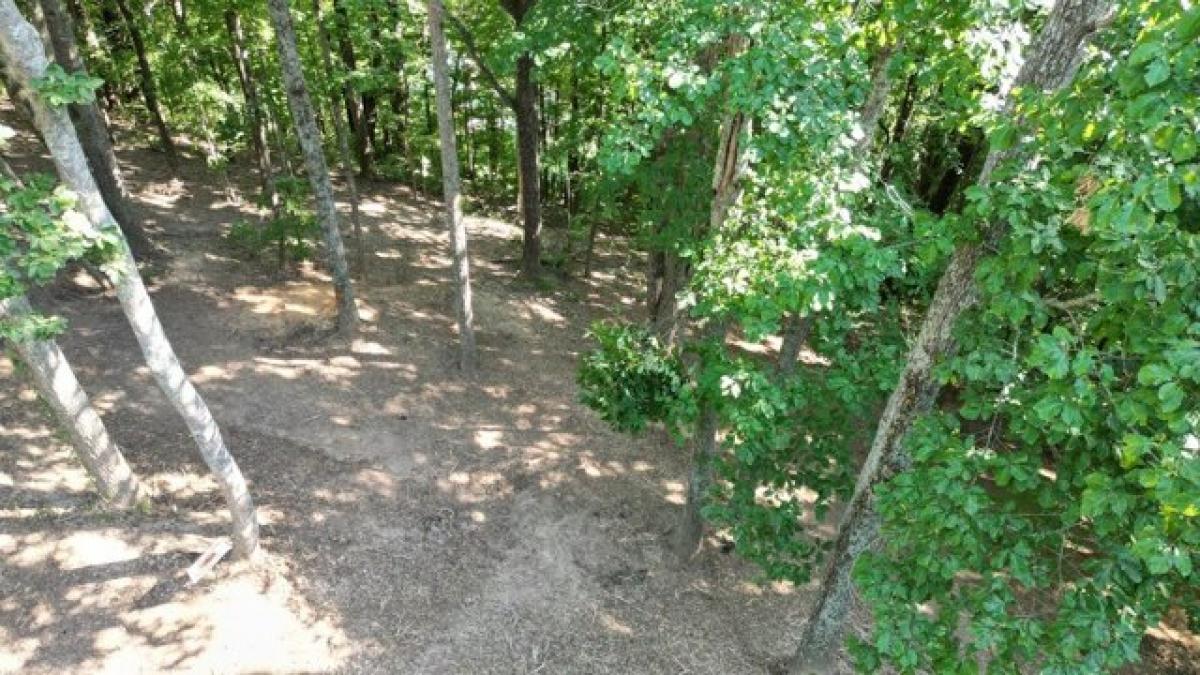 Picture of Residential Land For Sale in Smithville, Tennessee, United States