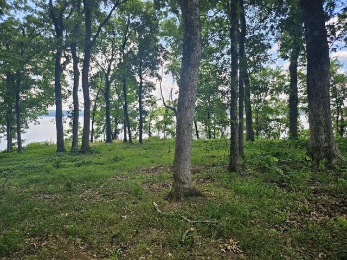 Picture of Residential Land For Sale in Florence, Alabama, United States