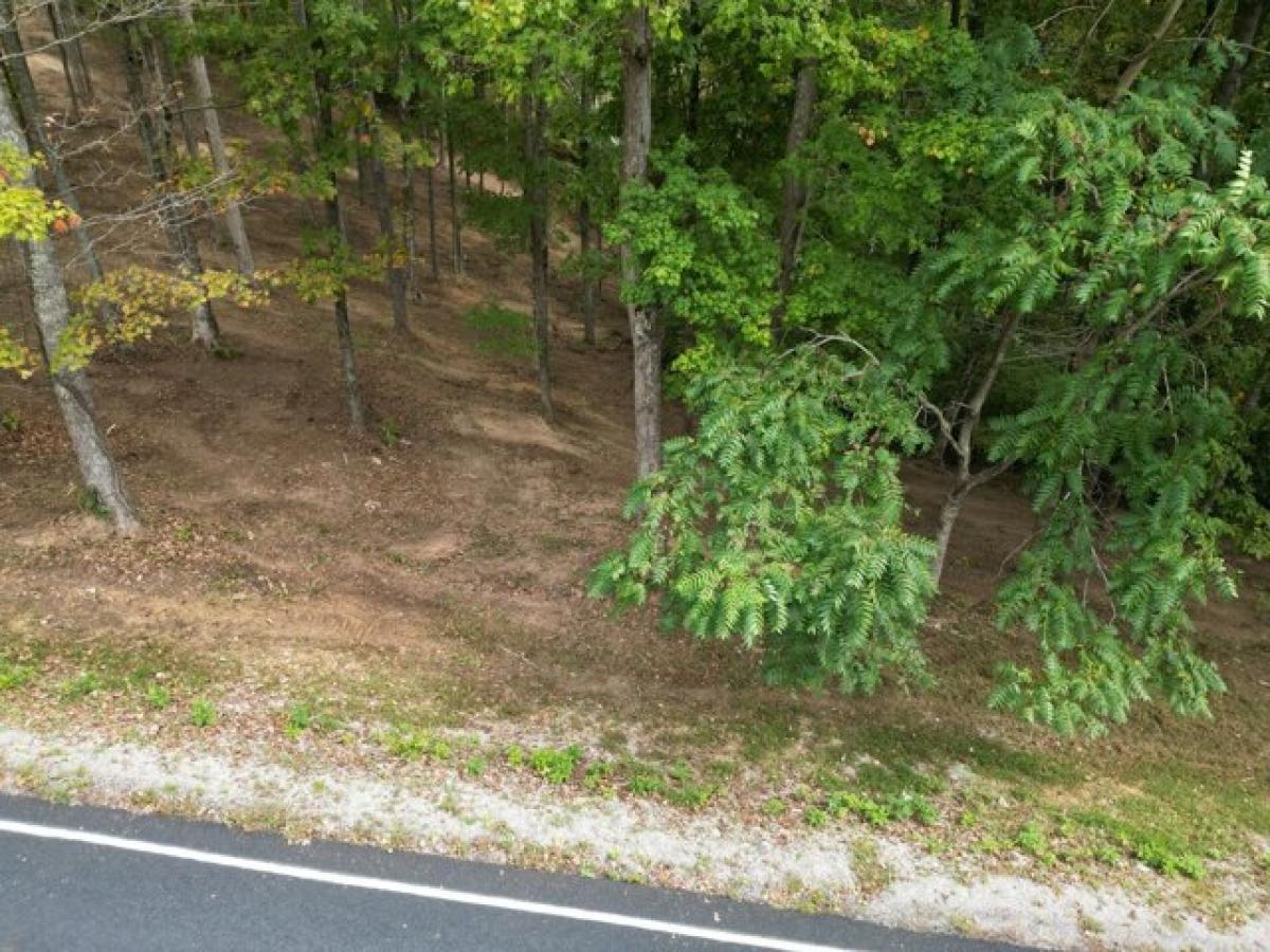 Picture of Residential Land For Sale in Sparta, Tennessee, United States