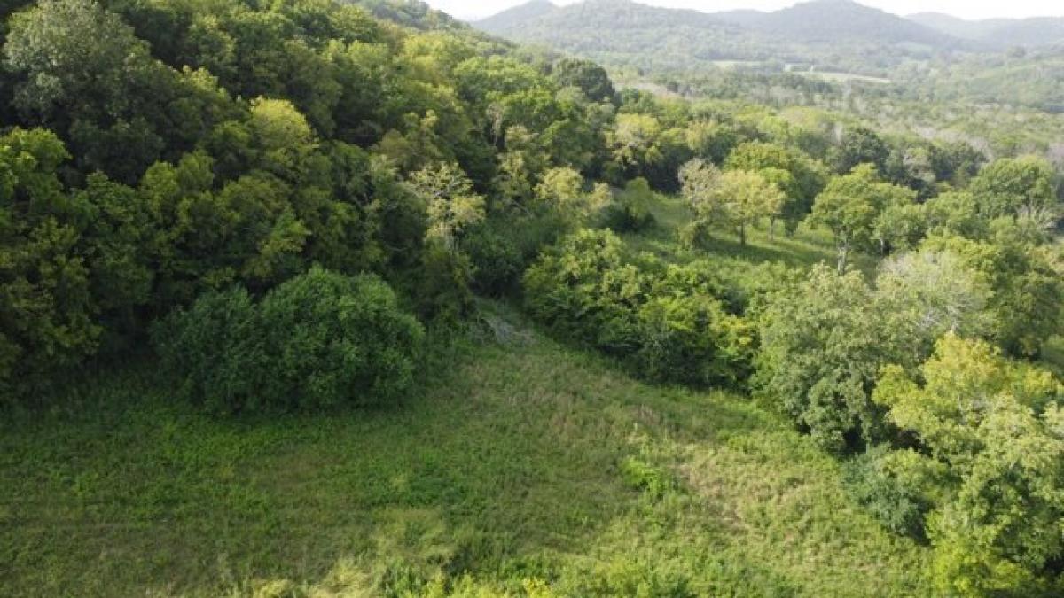 Picture of Residential Land For Sale in Bethpage, Tennessee, United States