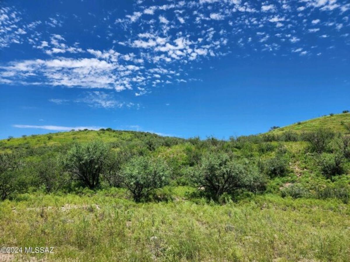 Picture of Residential Land For Sale in Rio Rico, Arizona, United States