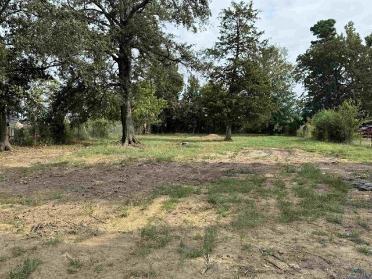 Picture of Residential Land For Sale in Gladewater, Texas, United States