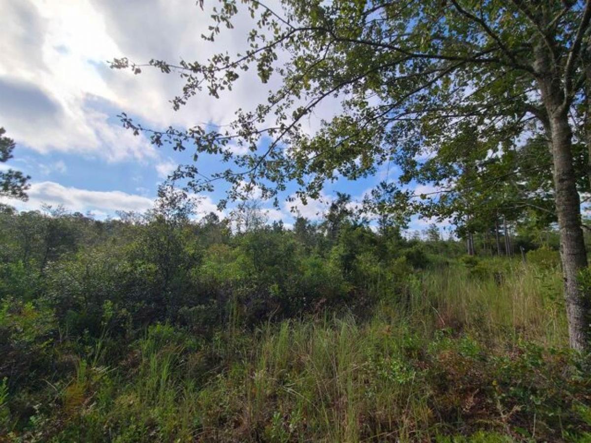 Picture of Residential Land For Sale in Greenville, Florida, United States