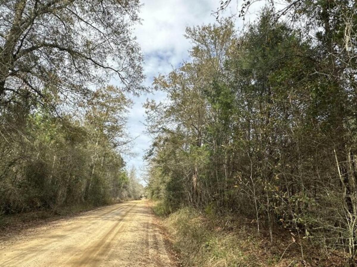 Picture of Residential Land For Sale in Bonifay, Florida, United States