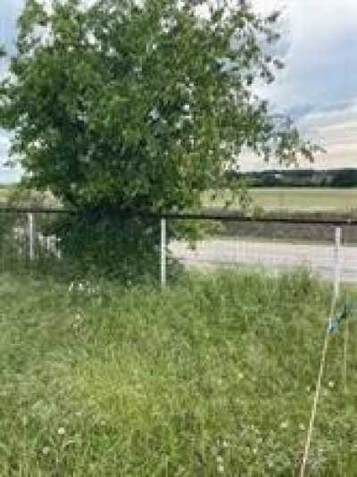 Residential Land For Sale in Paradise, Texas