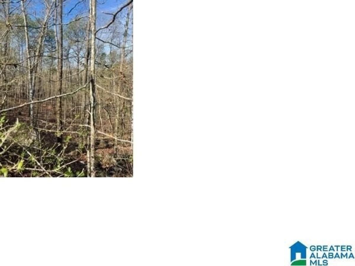 Picture of Residential Land For Sale in Alpine, Alabama, United States