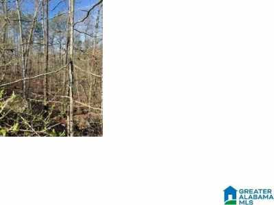 Residential Land For Sale in Alpine, Alabama