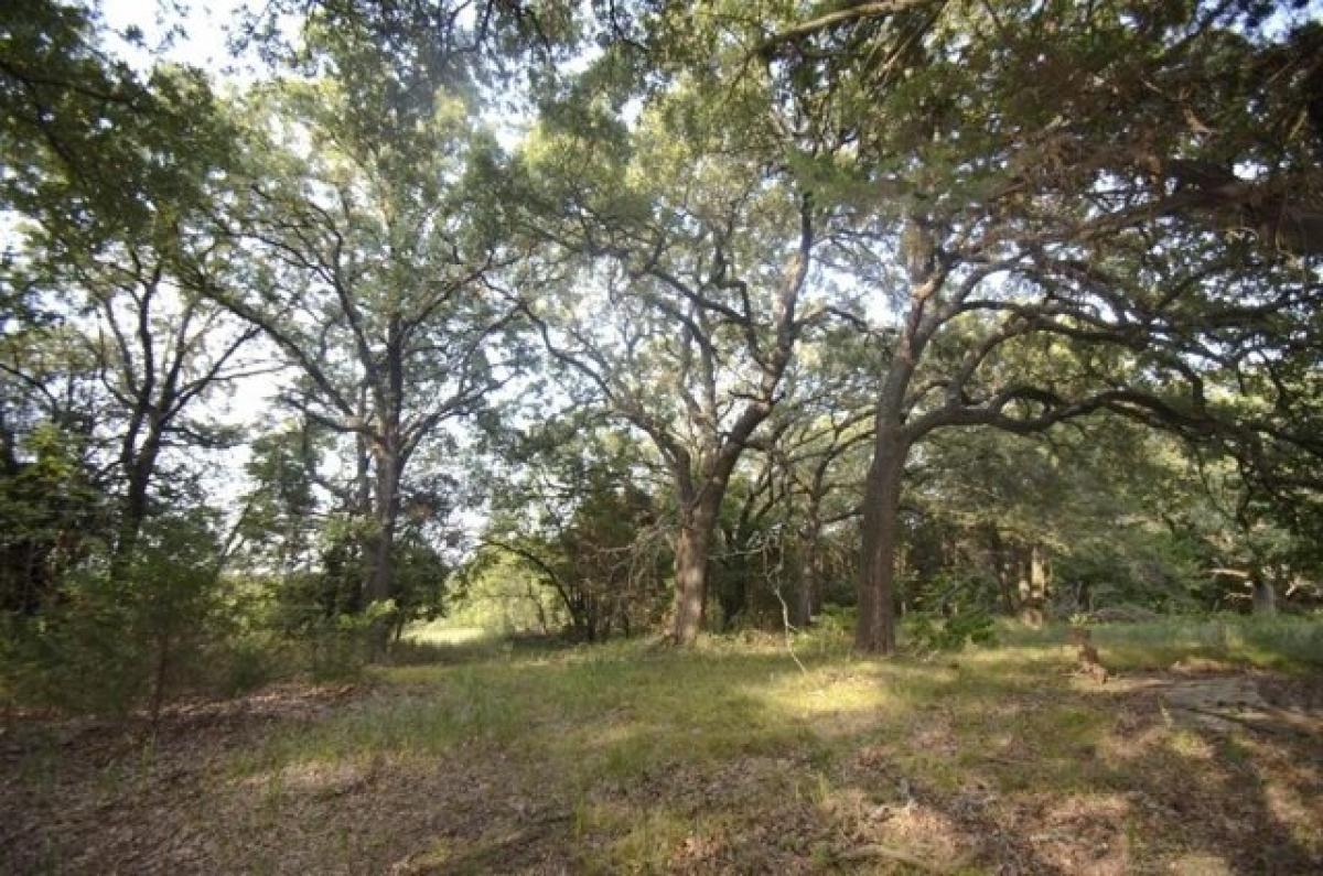 Picture of Residential Land For Sale in Pottsboro, Texas, United States