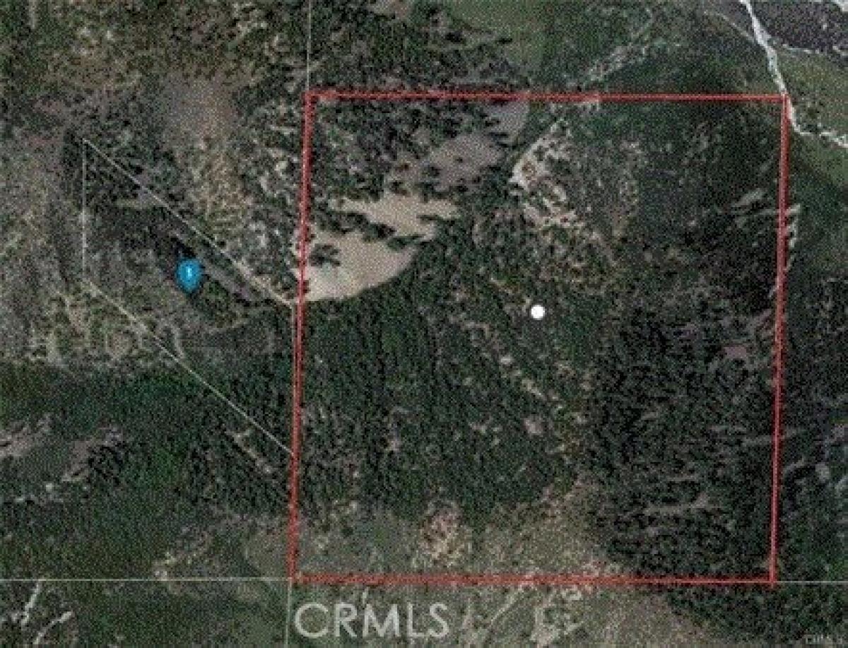 Picture of Residential Land For Sale in Lytle Creek, California, United States