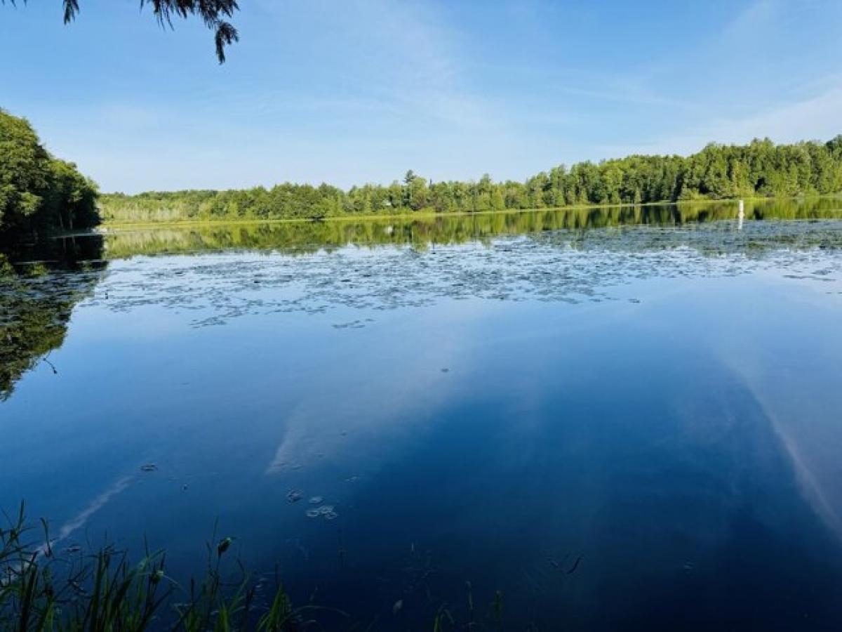 Picture of Residential Land For Sale in Mercer, Wisconsin, United States