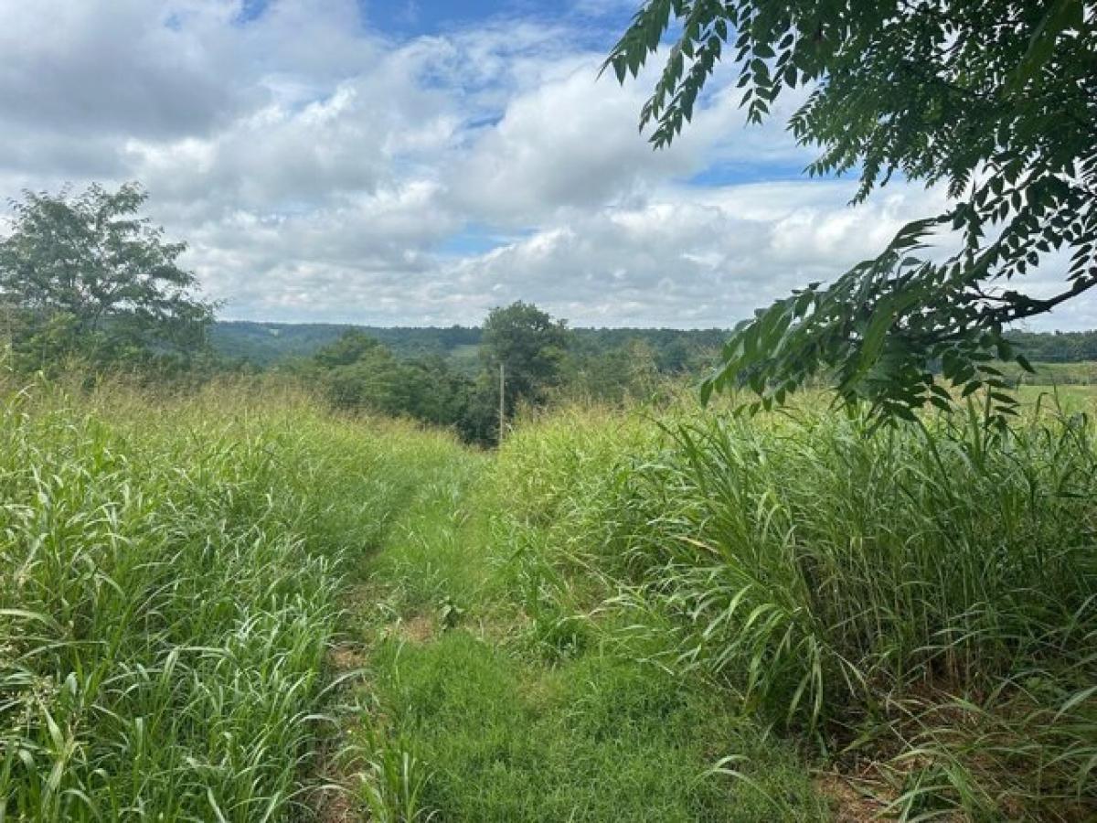 Picture of Residential Land For Sale in Belvidere, Tennessee, United States