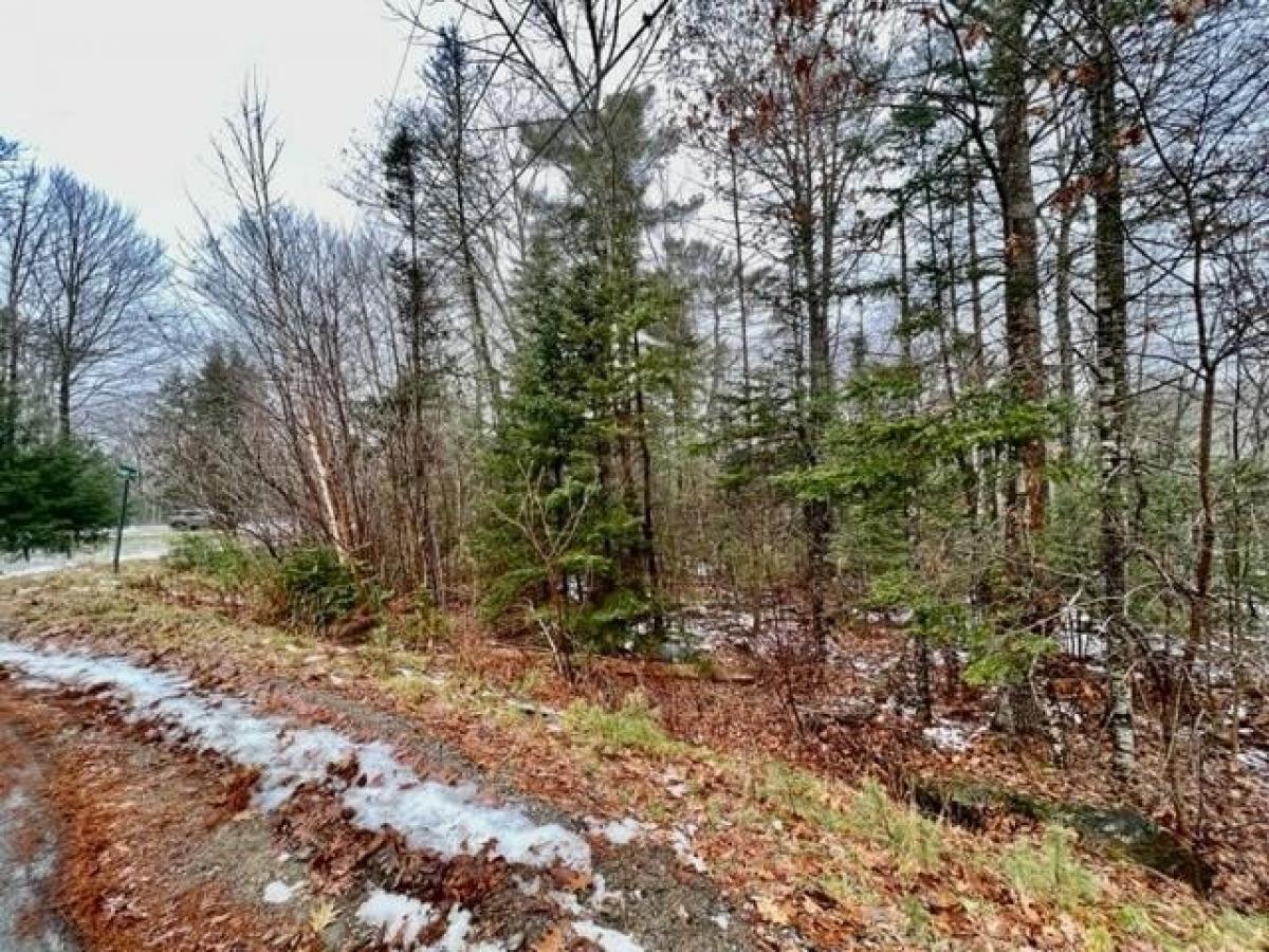 Picture of Residential Land For Sale in Bucksport, Maine, United States