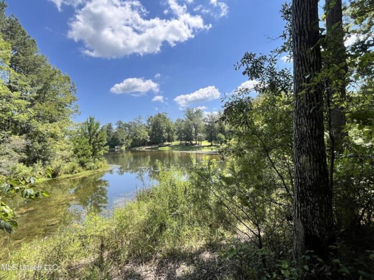 Picture of Residential Land For Sale in Brandon, Mississippi, United States