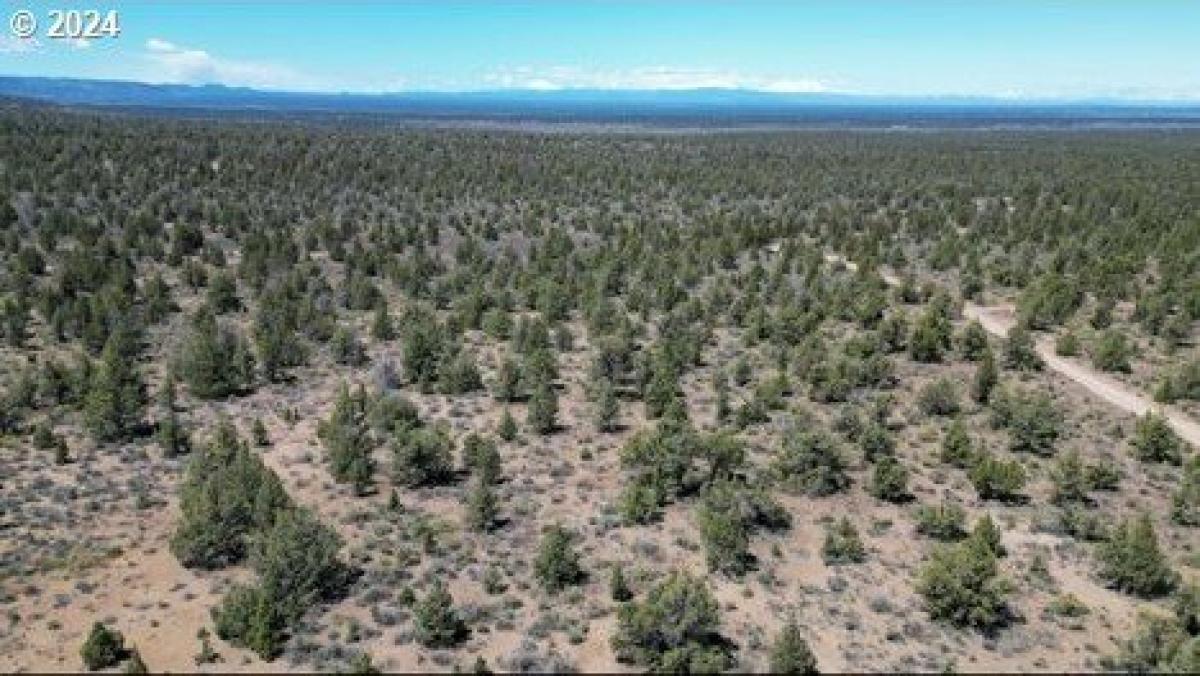 Picture of Residential Land For Sale in Prineville, Oregon, United States