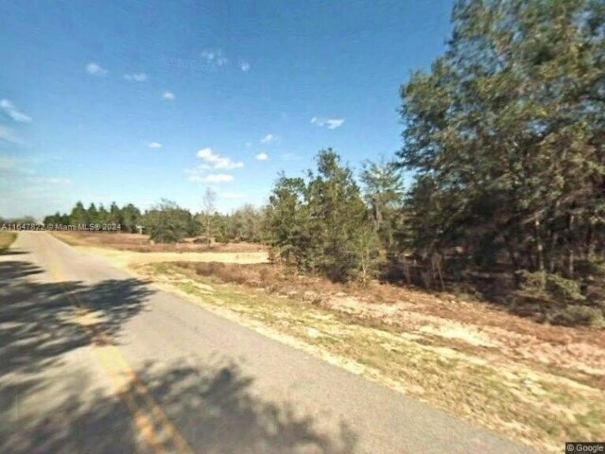 Picture of Residential Land For Sale in Palatka, Florida, United States