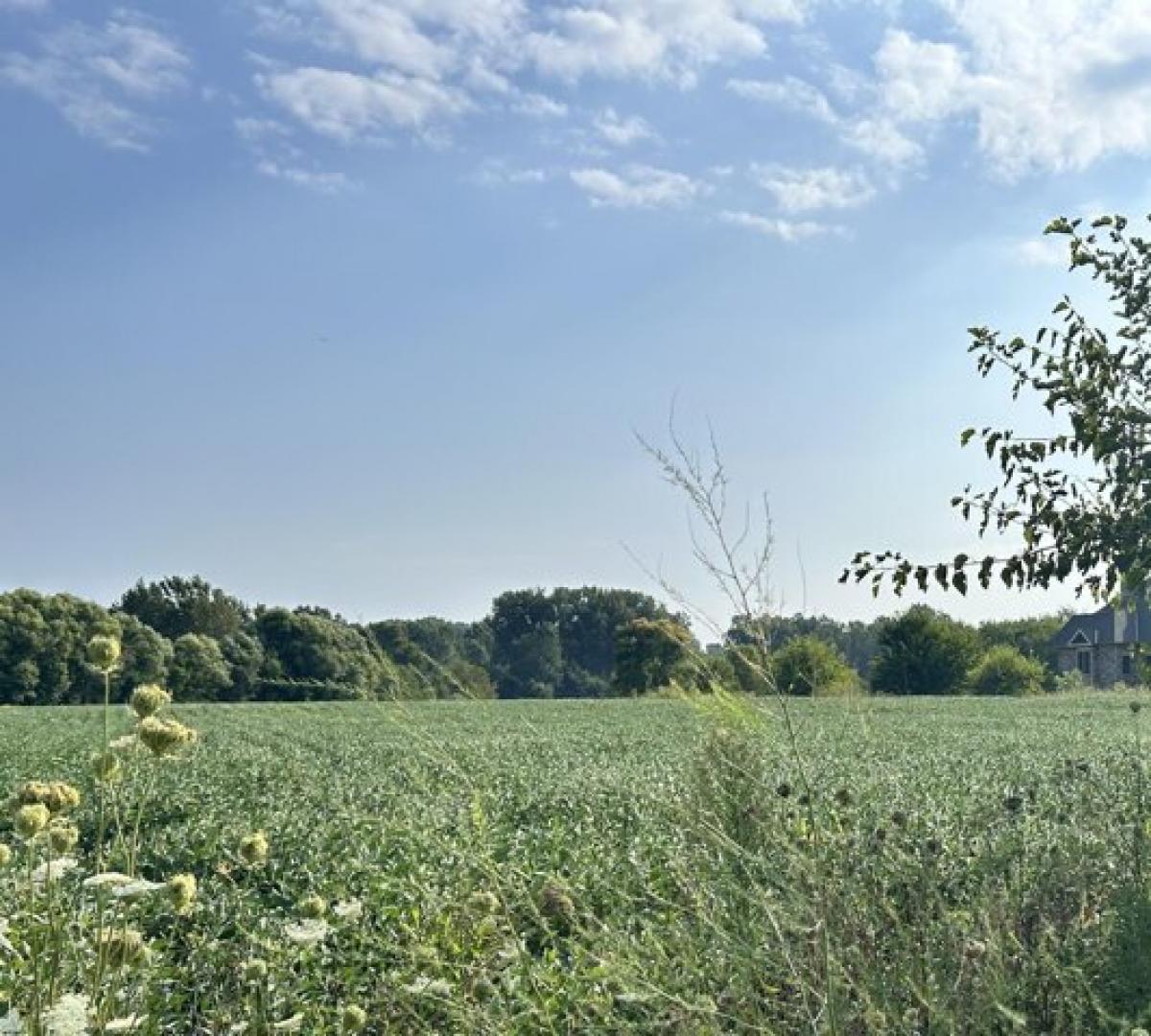 Picture of Residential Land For Sale in Baroda, Michigan, United States