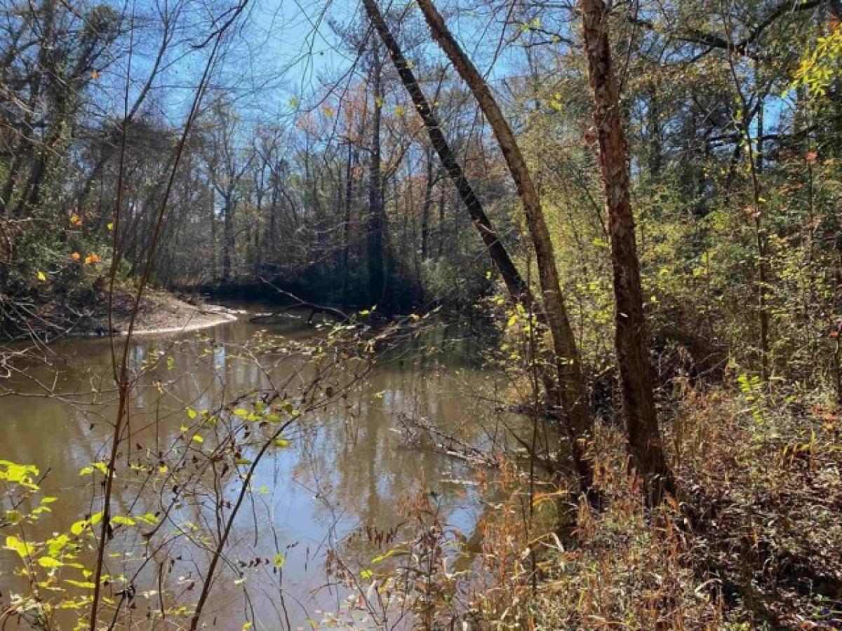 Picture of Residential Land For Sale in Byron, Georgia, United States