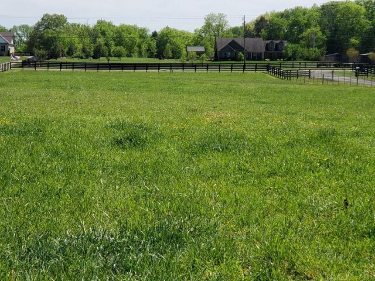 Picture of Residential Land For Sale in Columbia, Tennessee, United States