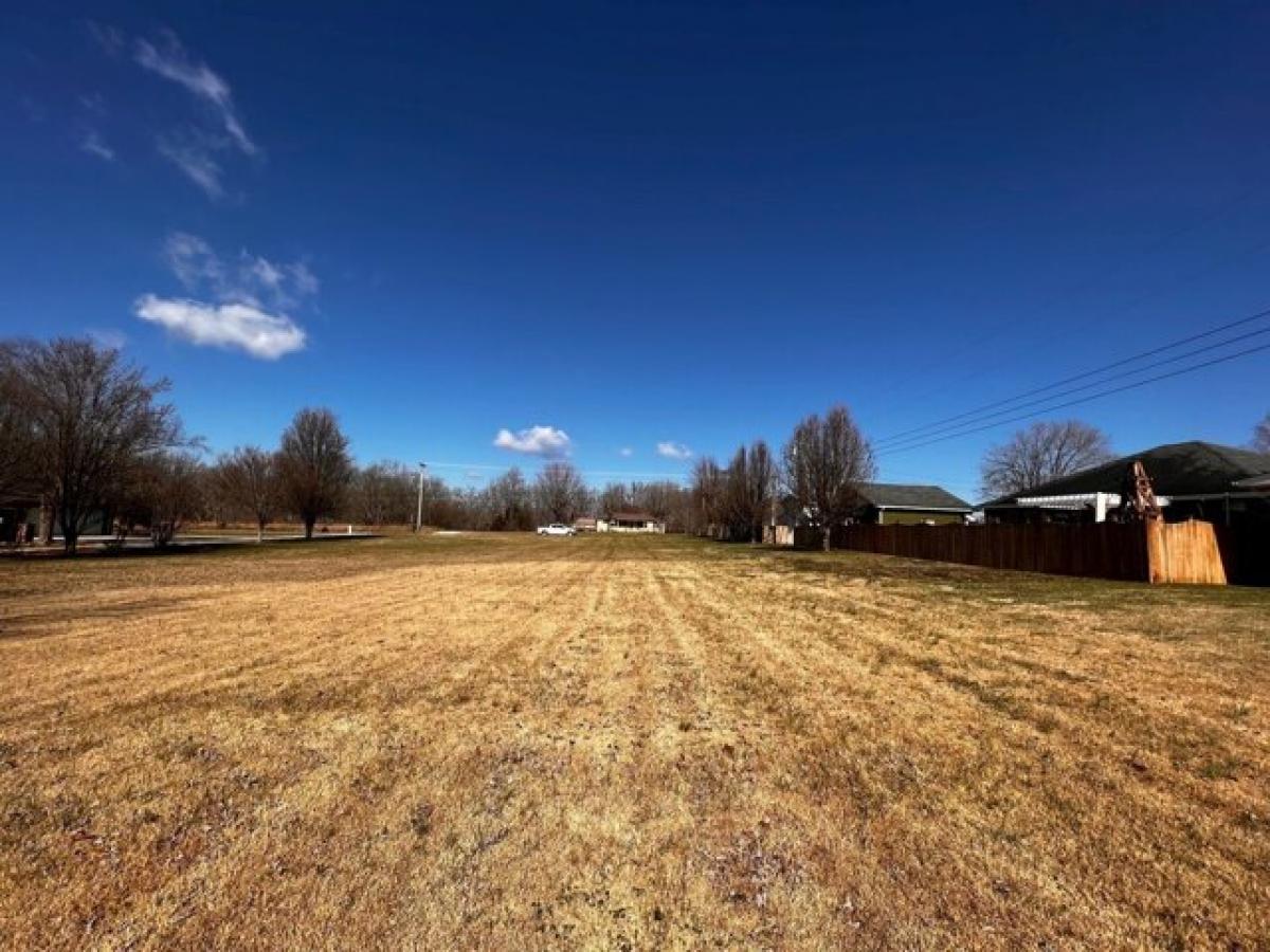 Picture of Residential Land For Sale in Smithville, Tennessee, United States