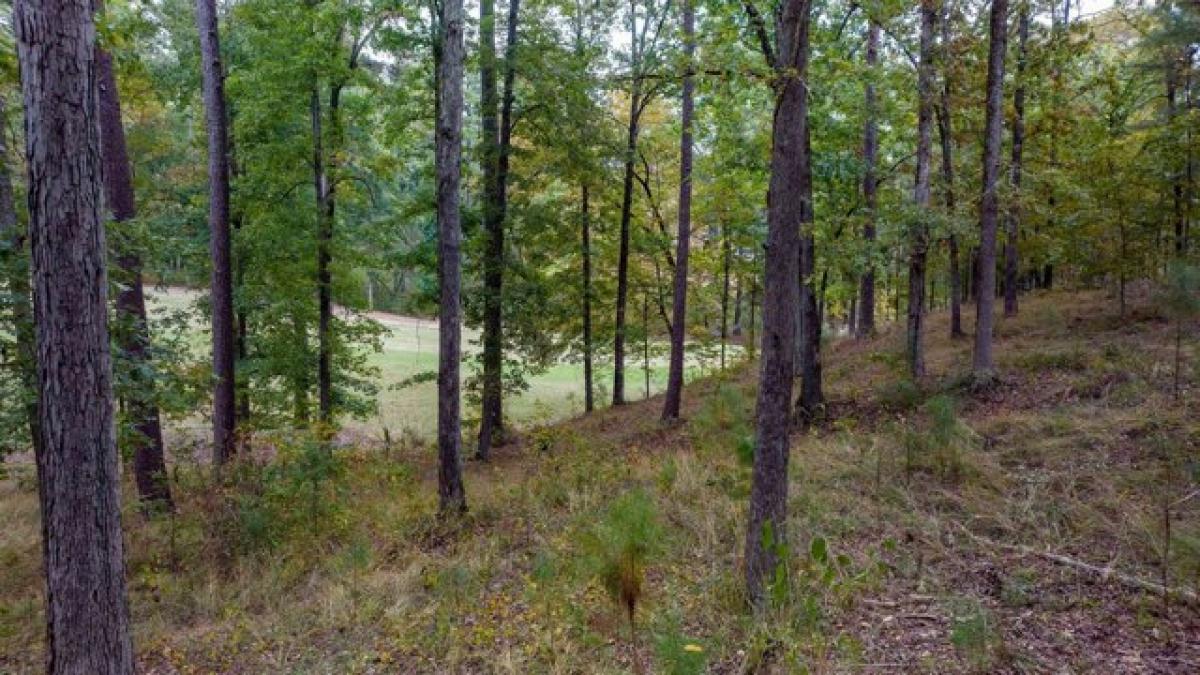 Picture of Residential Land For Sale in Greensboro, Georgia, United States